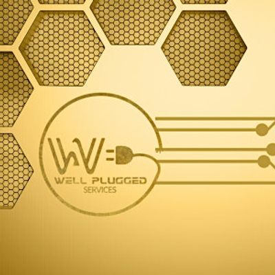 Well Plugged Services