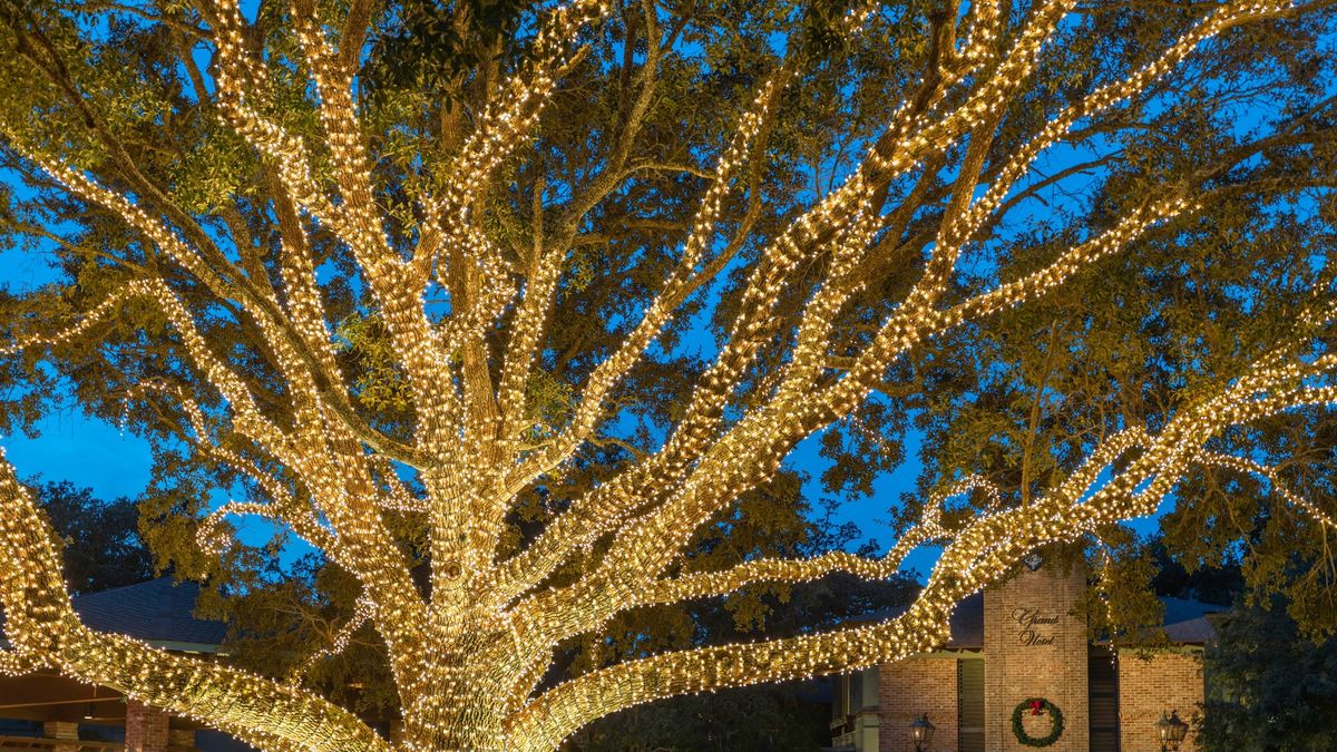 2nd Annual Holiday Stroll at the Grand Hotel