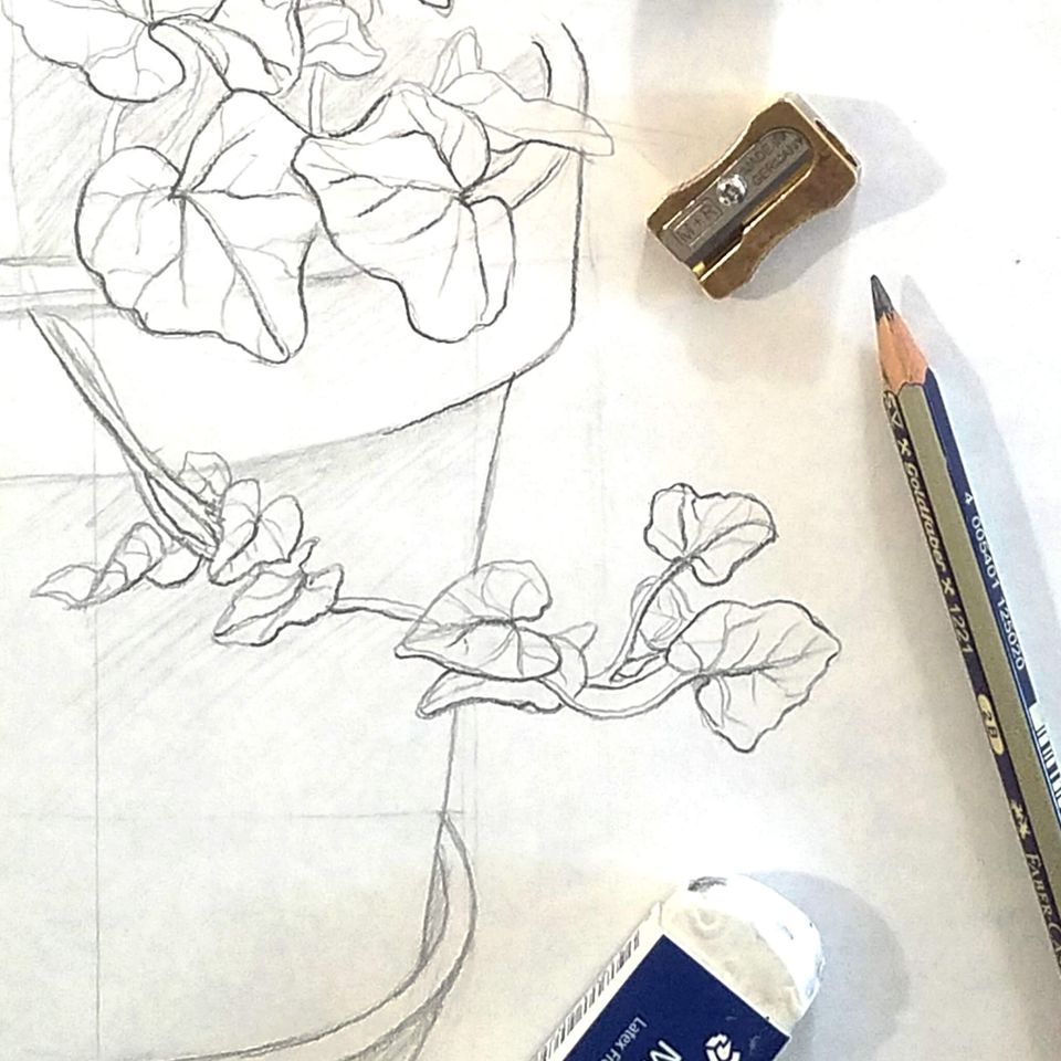 Botanical Sketching with Kelsey Wilson