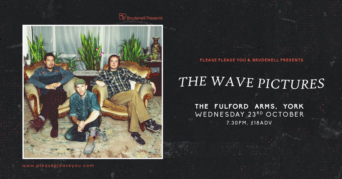 The Wave Pictures - The Fulford Arms, York