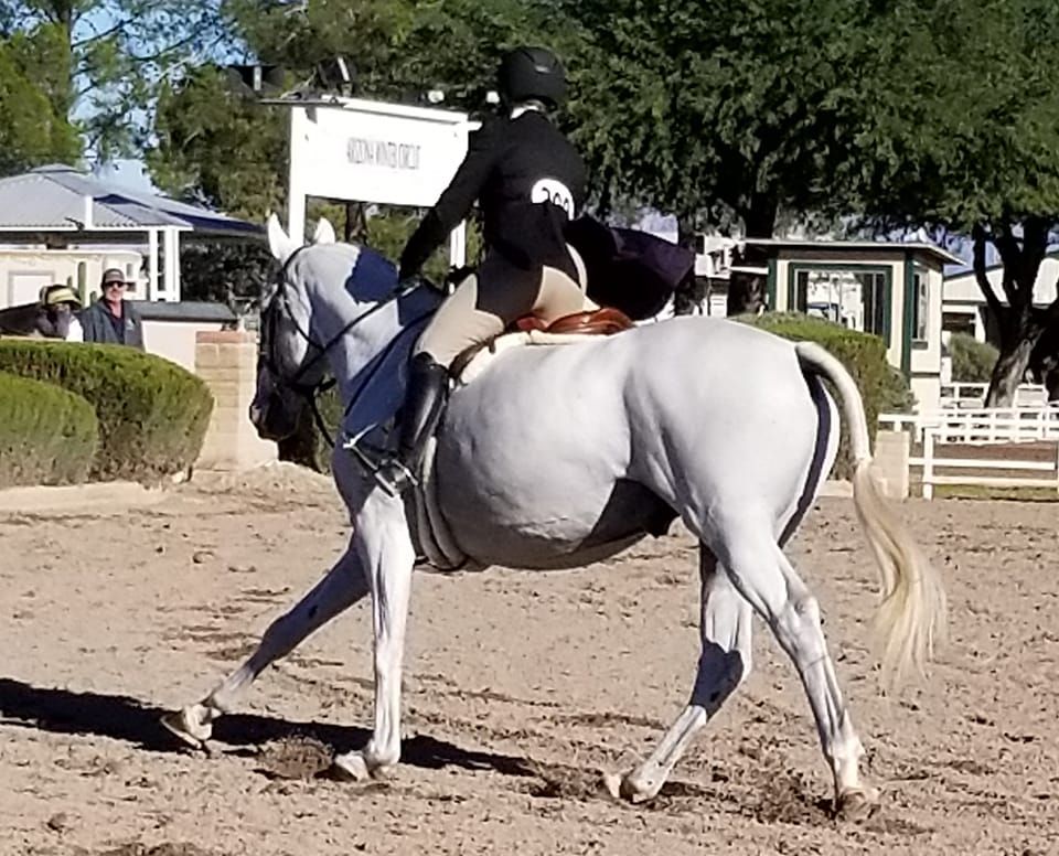 USHJA Annual Meeting