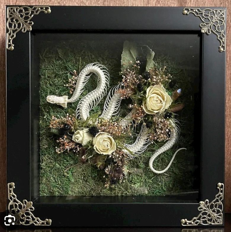 Snake Skeleton Shadow Box ($60\/person 12-2pm or 4-6pm)