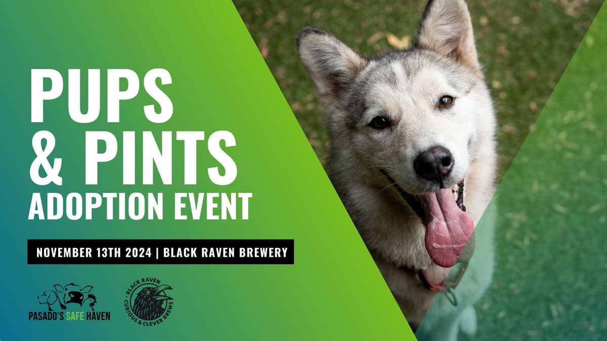 Pups and Pints | Pasado's Adoption Event @ Black Raven Brewery