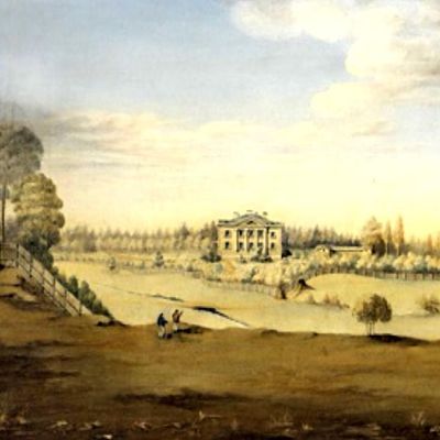 Carol-the love of tea