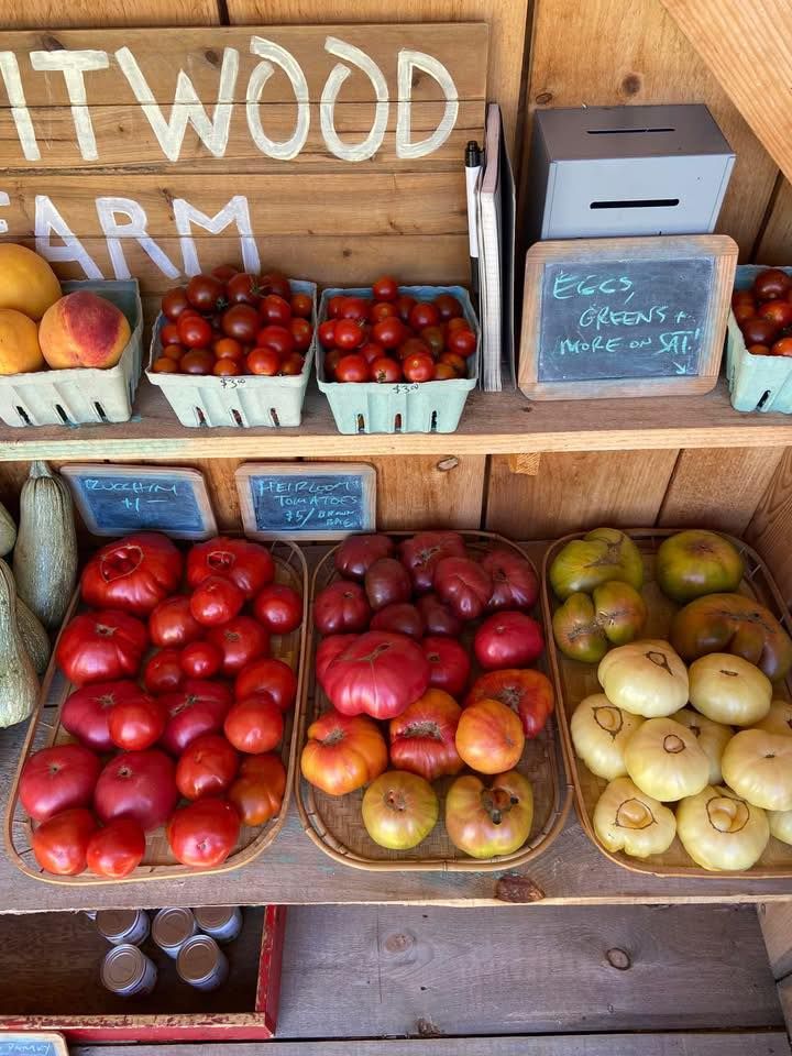 Seed Starting Workshop at Biscuitwood Farm