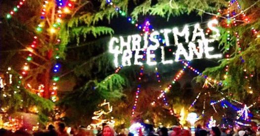 Fresno Christmas Tree Lane Walk Nights 2022 Christmas Tree Lane, Ceres, California, 21 December 2021