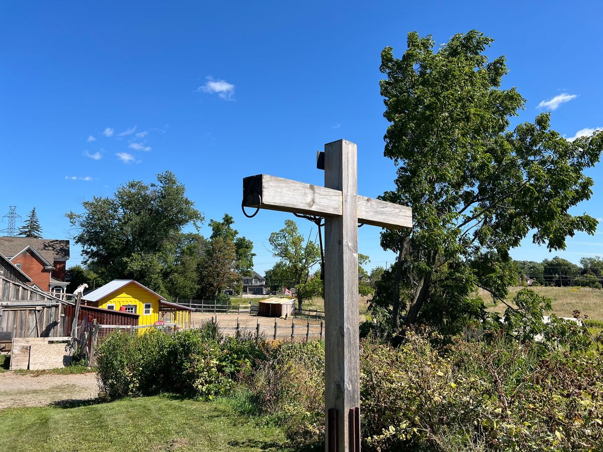 Parish Picnic Potluck at the DeMazenod Farm