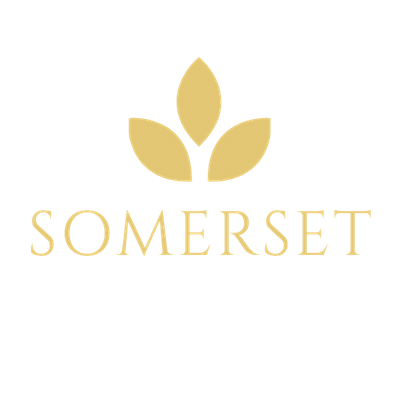 SOMERSET | Mental Health, Recovery & the Arts