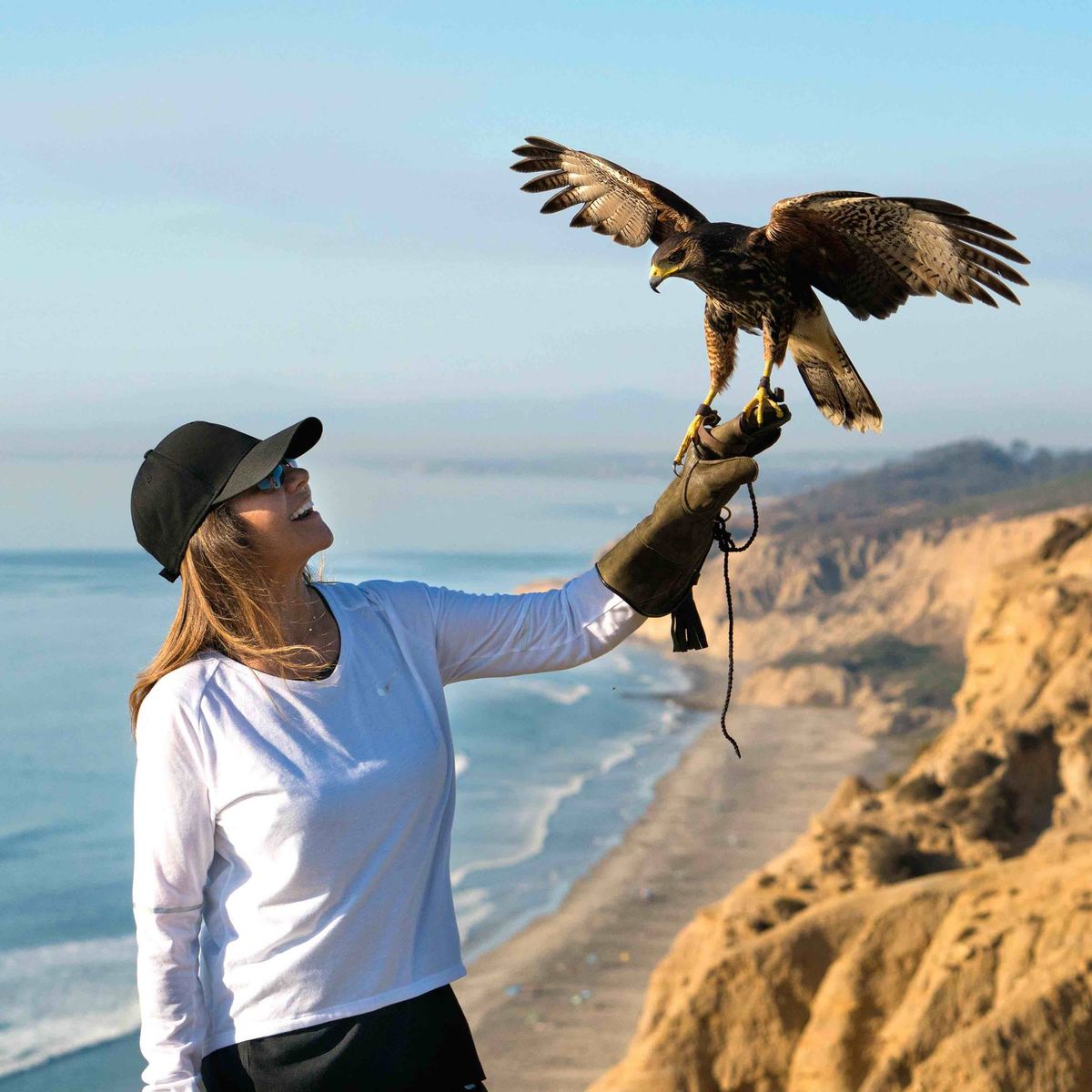 Falconry Experience in San Diego