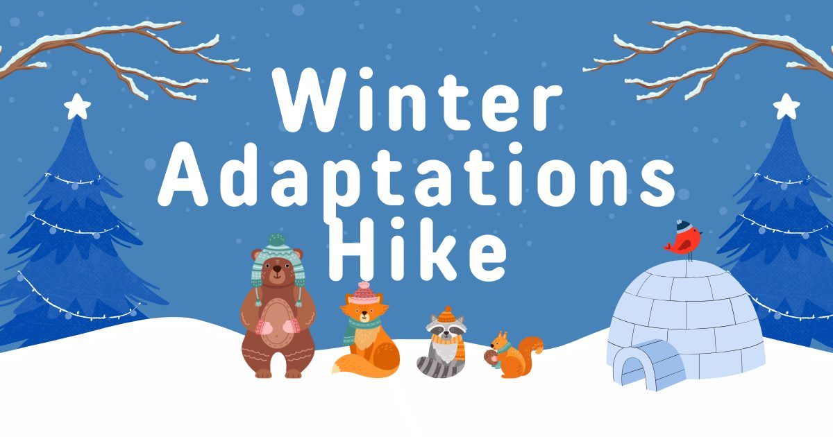 Winter Adaptations Hike