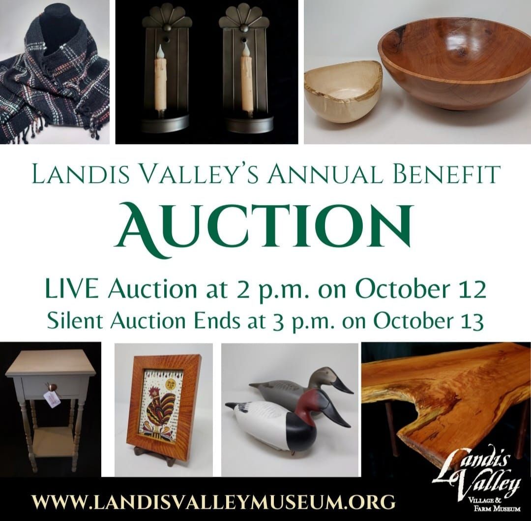 Our Annual Benefit Auction