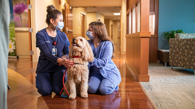 AdventHealth Ocala Hiring Event