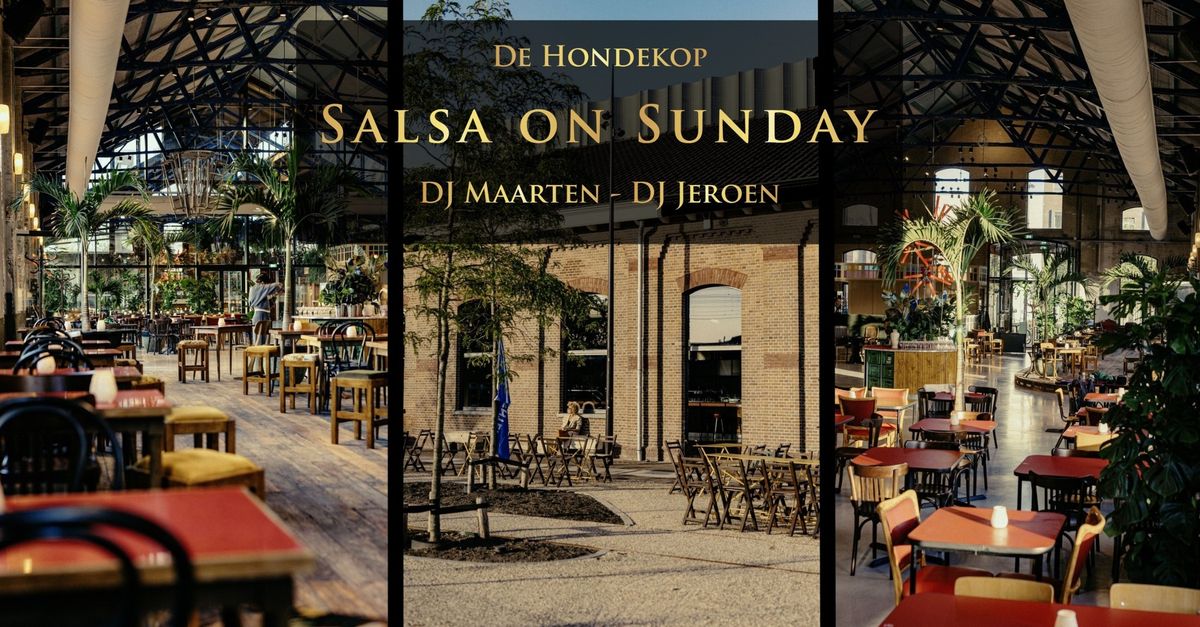 Salsa in de Hondekop