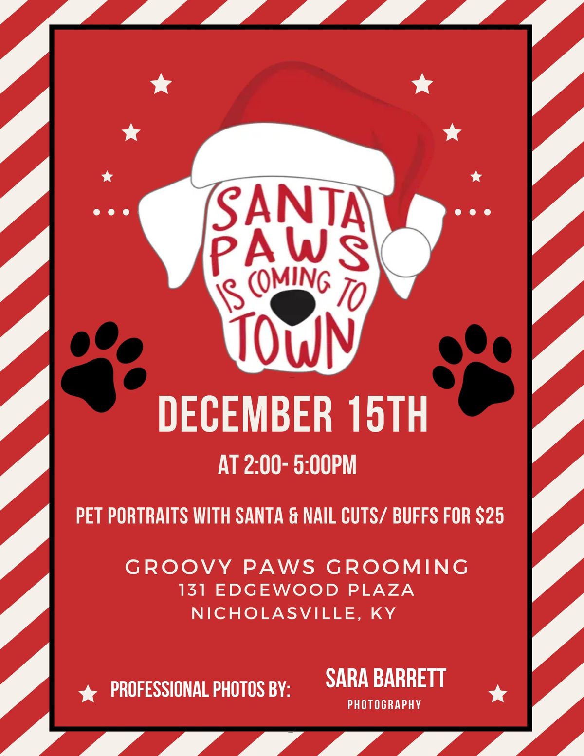 Santa Paws \ud83c\udf85