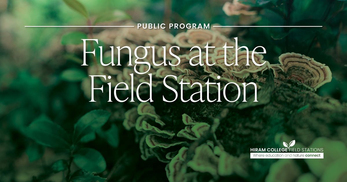 Fungus at the Field Station