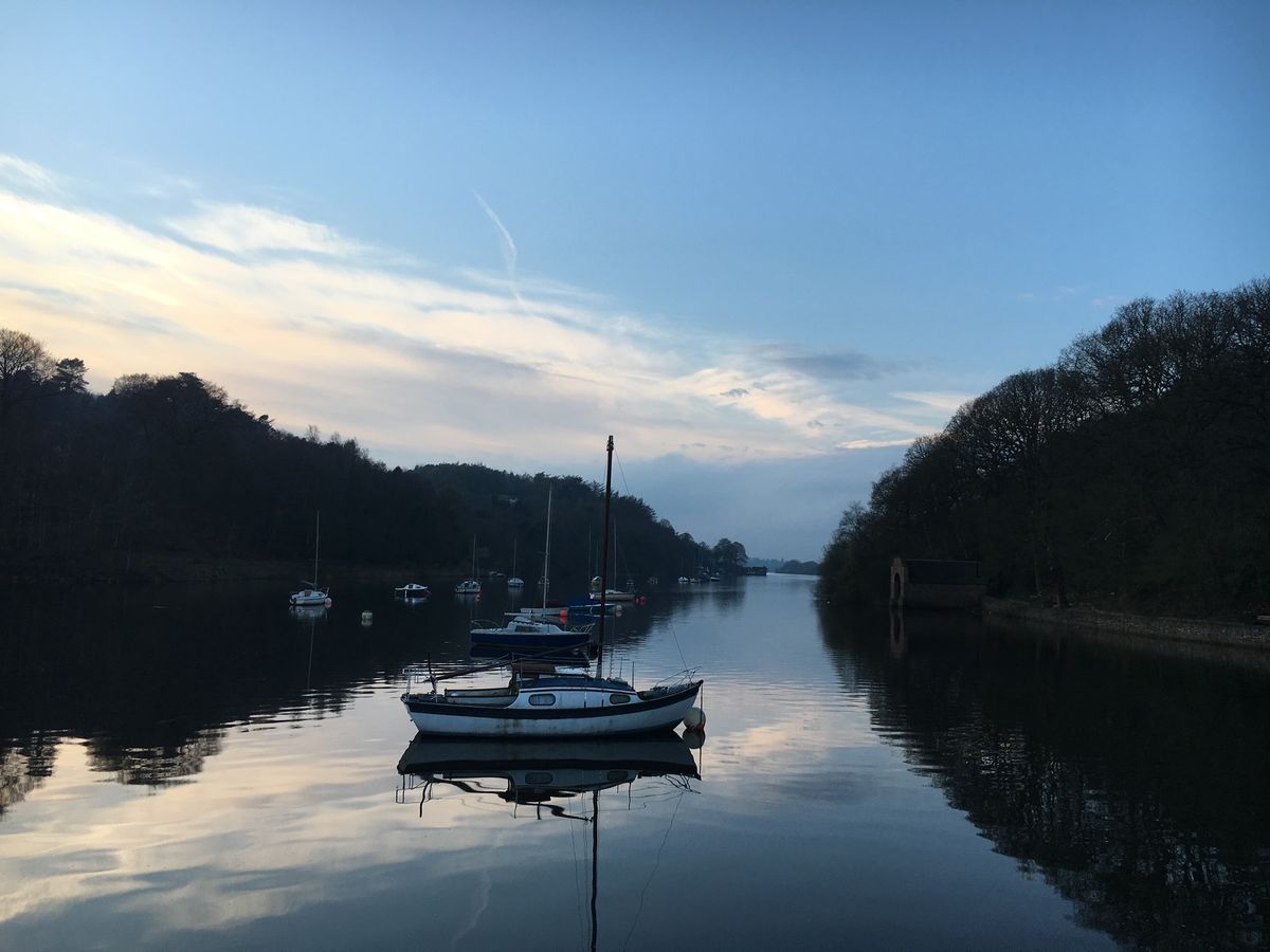 Rudyard Lake Neutral Walk with Constellation Dog Training