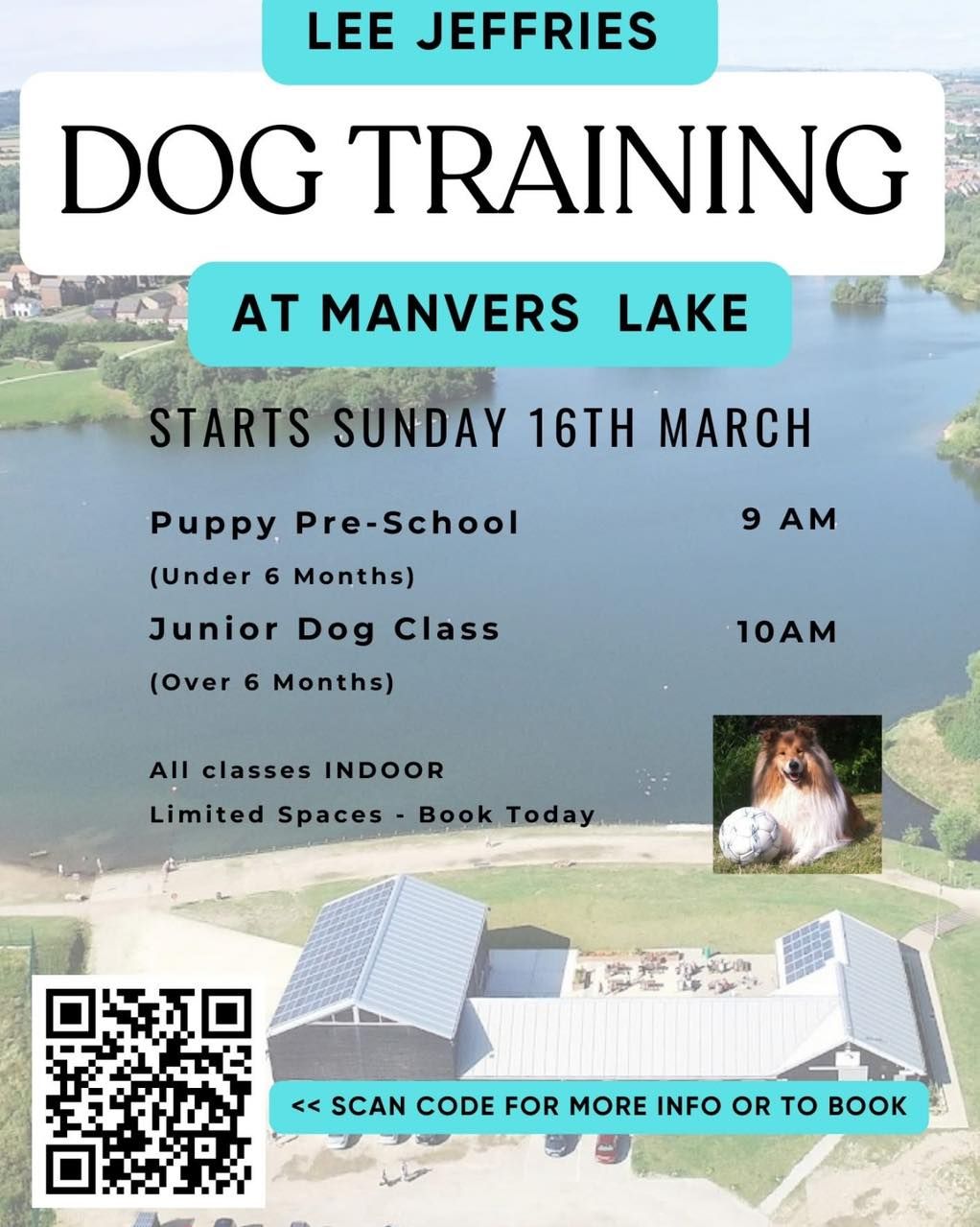 Dog Training at Manvers Lake