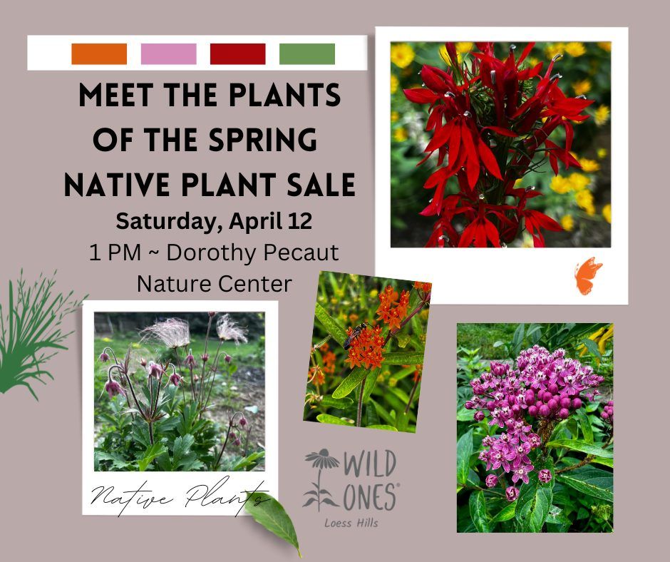 Meet the Plants of the Spring Native Plant Sale -- and Roll out the Grants