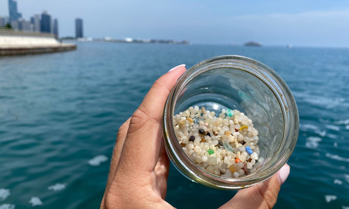 Tackling Microplastics: A Hands-On Training for Educators