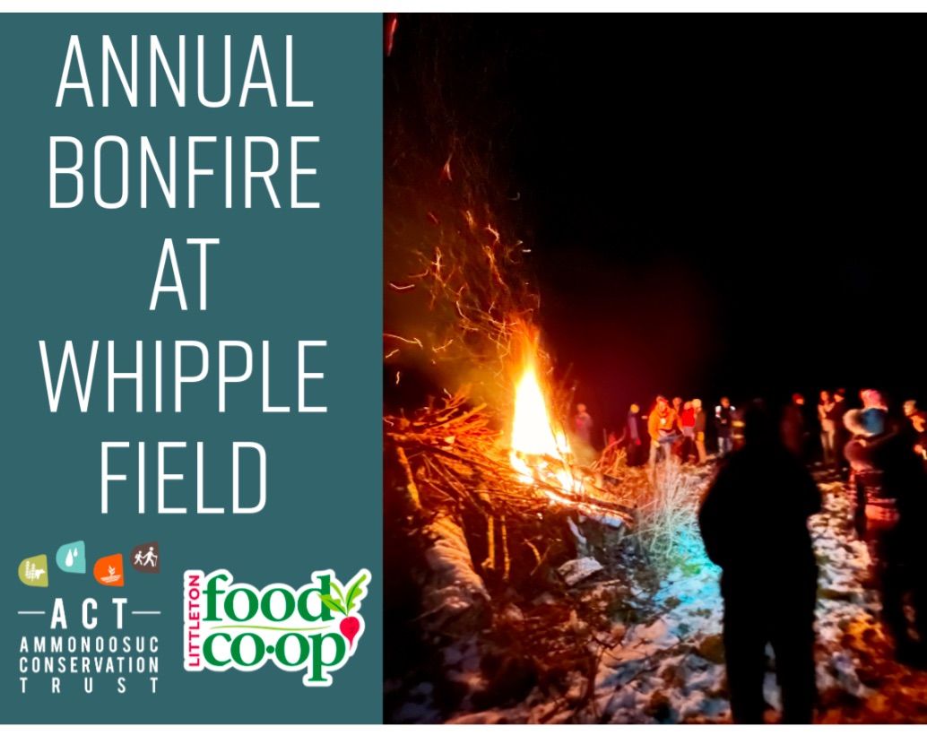 Annual Bonfire at Whipple Field