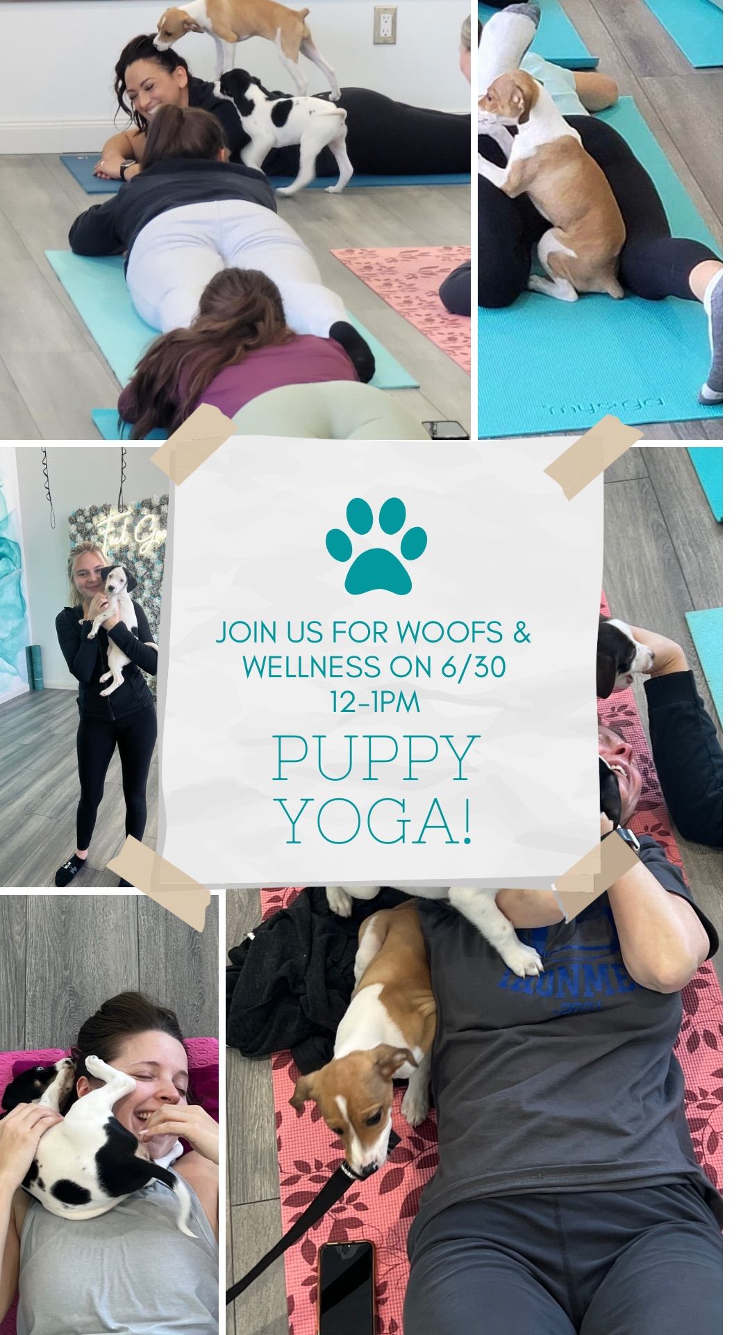 Woofs & Wellness Puppy Yoga!