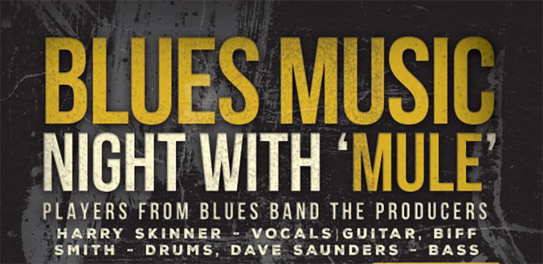 Blues Music Night with Mule