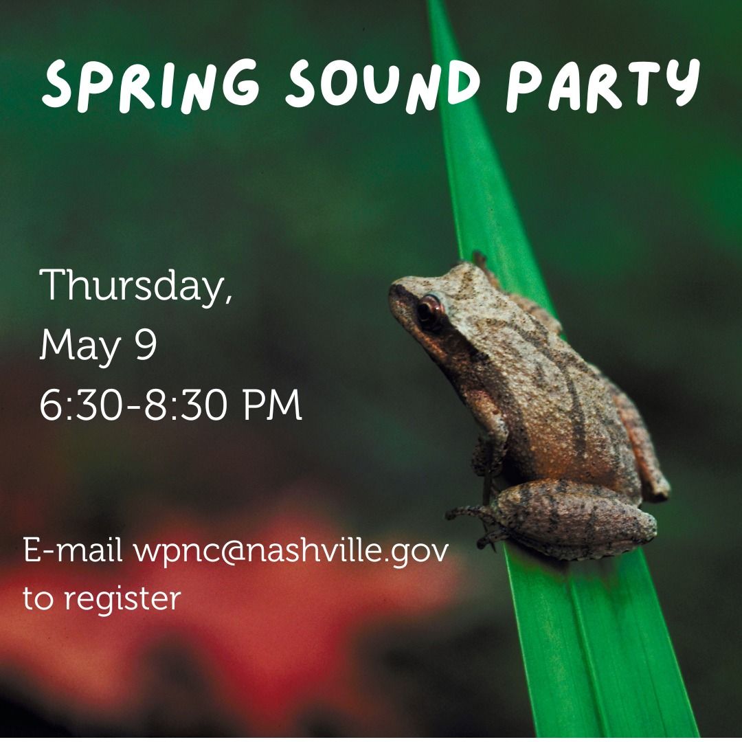 Spring Sound Party