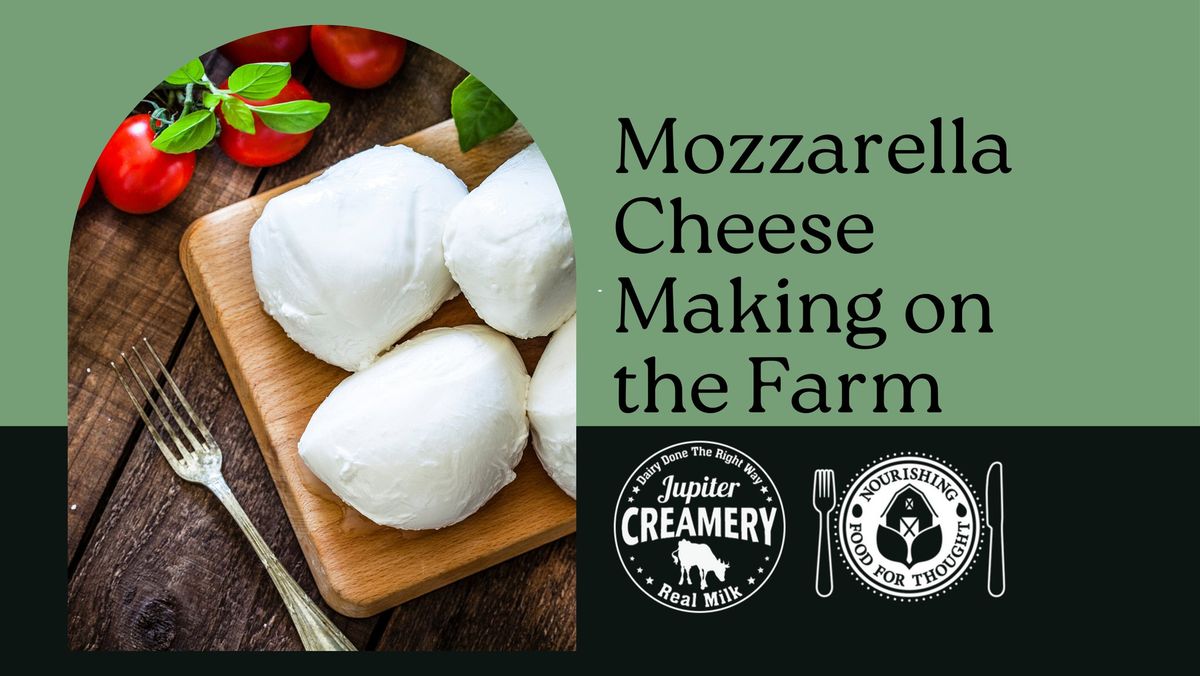 Mozzarella Cheese Making on the Farm at the Jupiter Creamery