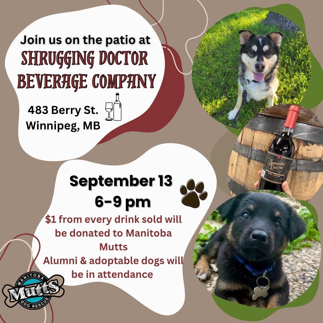 Manitoba Mutts at Shrugging Doctor Beverage Company Patio