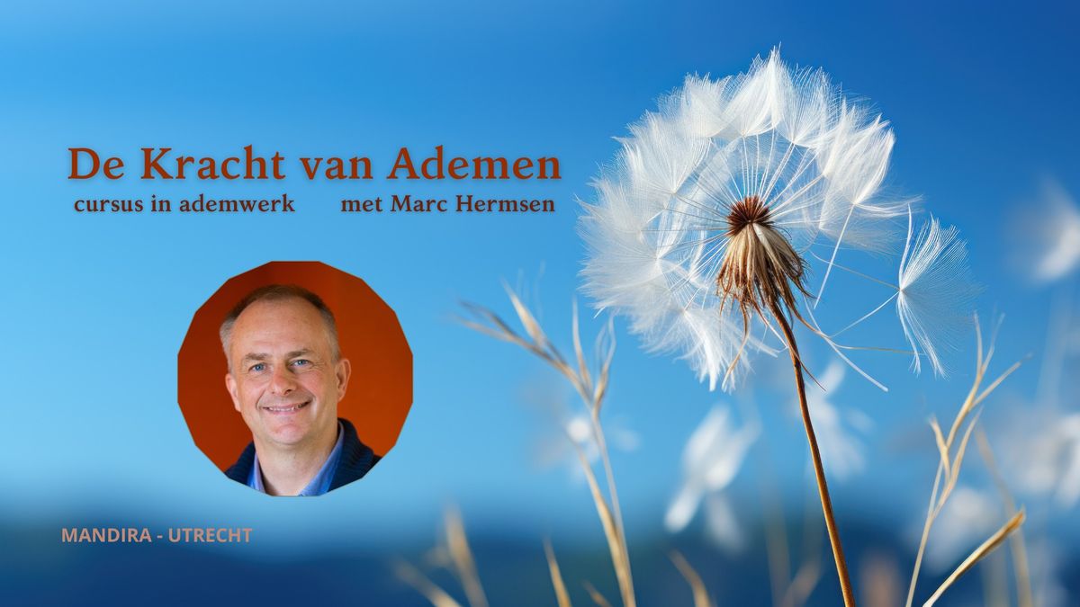 Cursus in Ademwerk | De Kracht van Ademen