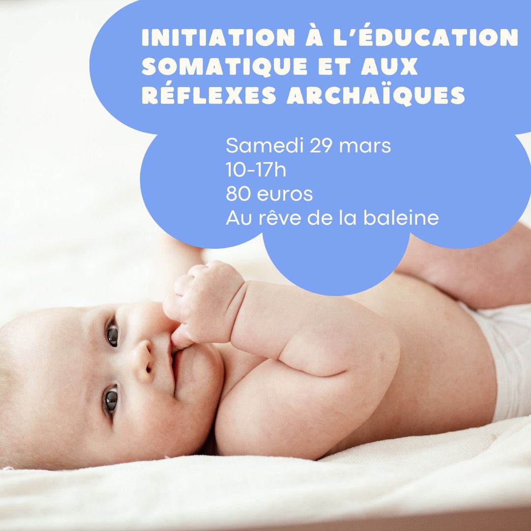 initiation \u00e0 l'\u00e9ducation somatique et r\u00e9flexes archa\u00efques 