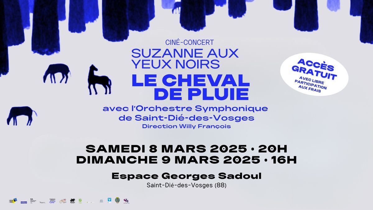 SuZanne \u2022 Cin\u00e9-concert "Le Cheval de Pluie" \u2022 Saint-Di\u00e9-des-Vosges (88)