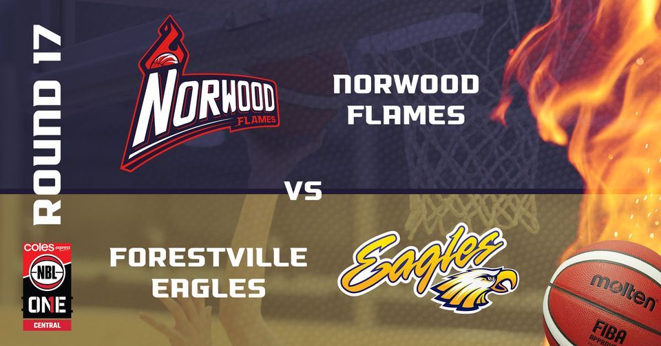 NBL1 Round 17 - Norwood Flames vs Forestville Eagles
