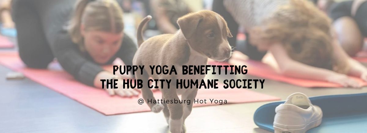 Puppy Yoga benefitting the Hub City Humane Society