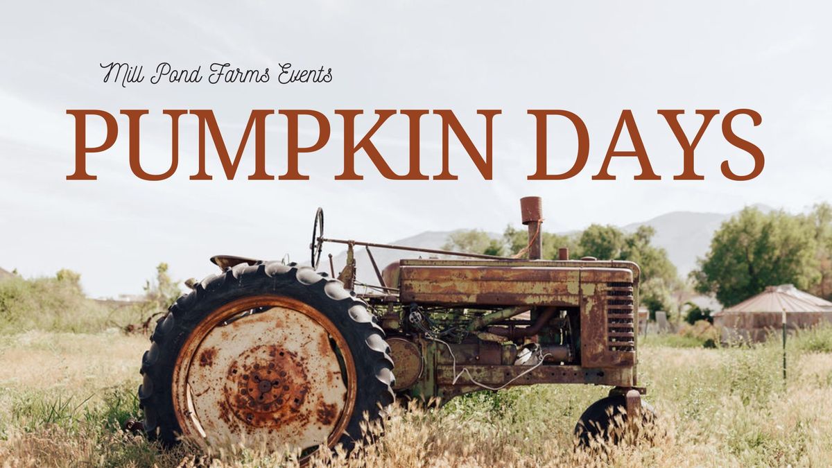 Pumpkin Days!