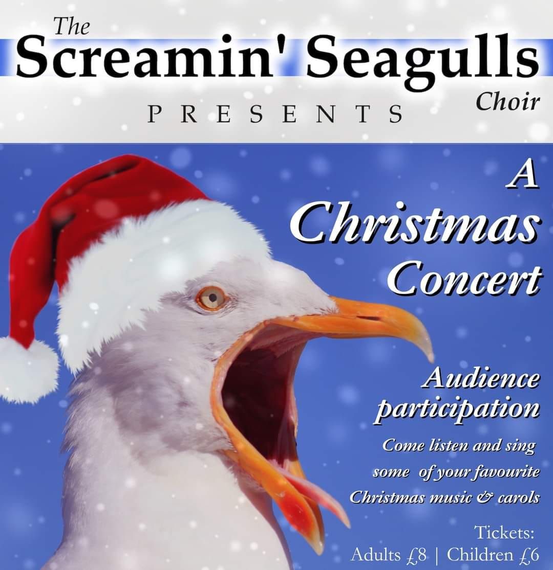 The Screamin' Seagulls Christmas Concert 