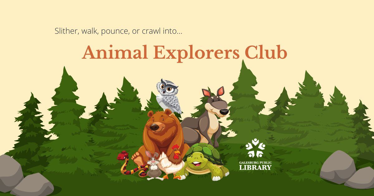 Animal Explorers