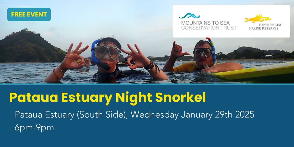 Pataua Estuary Night Snorkel