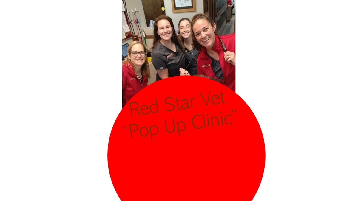 "Pop Up" Walk-In Vet Clinic Hours