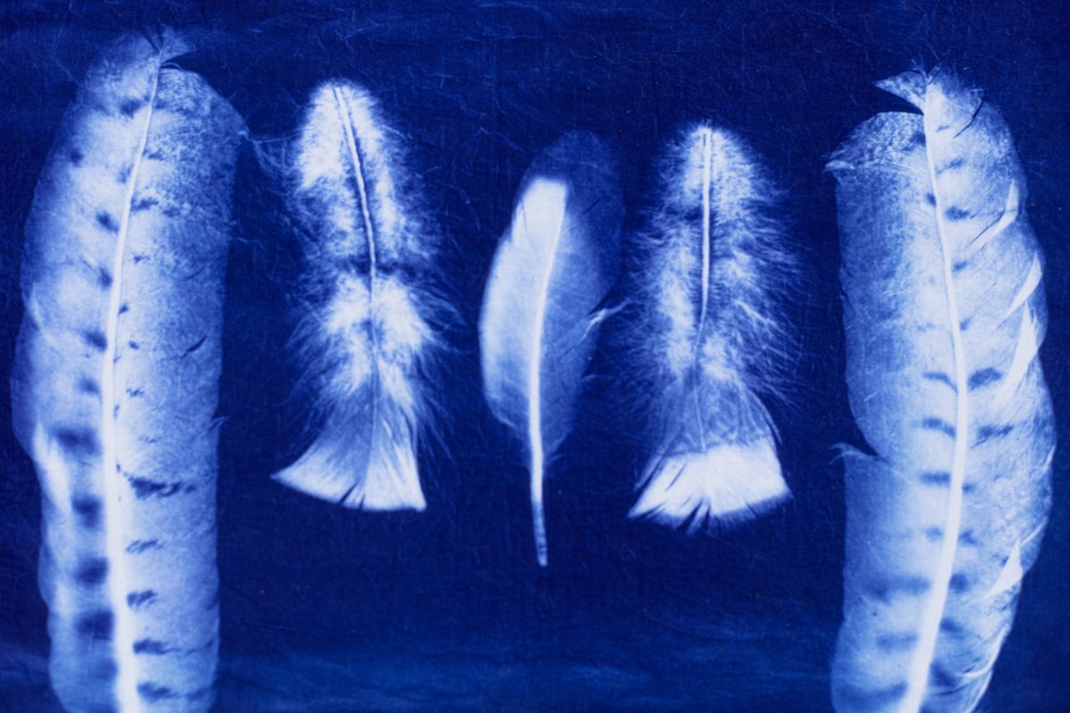 Intro to Cyanotype Workshop w\/Adventure Textiles- 3\/30\/25