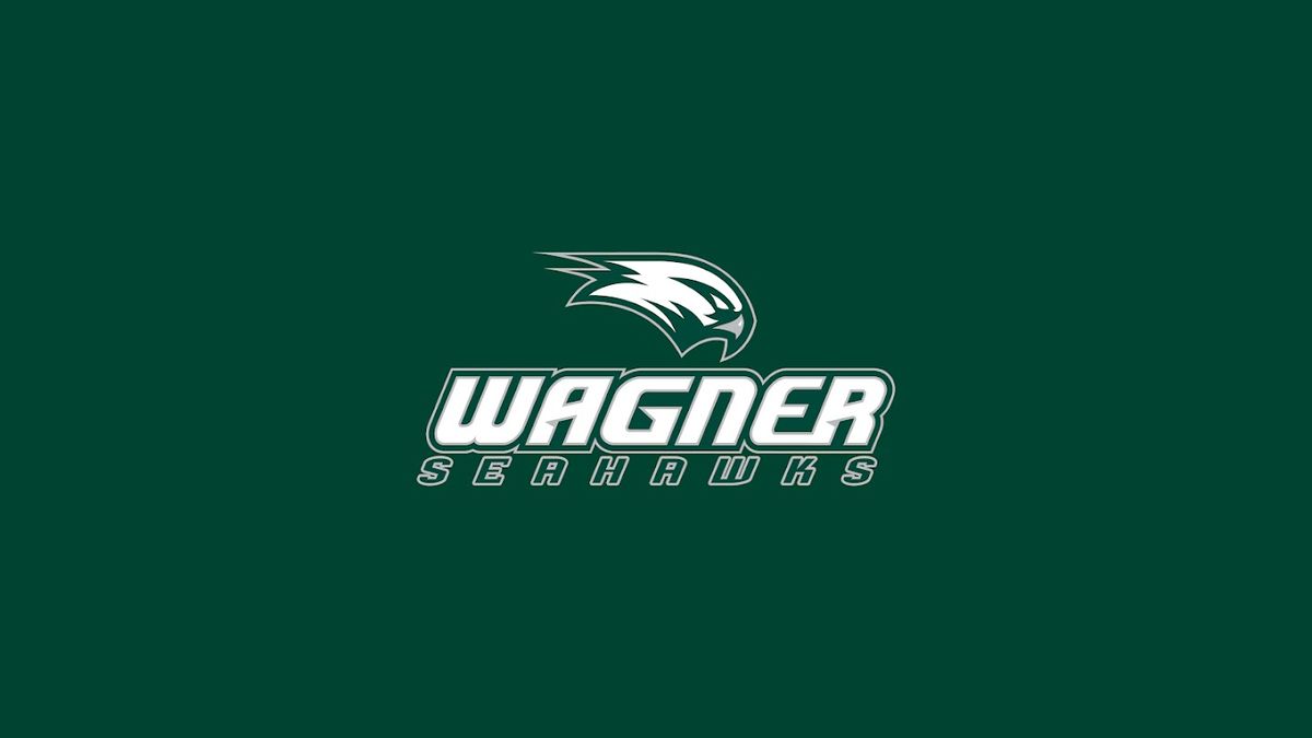 Wagner Seahawks at Mercyhurst Lakers Mens Basketball