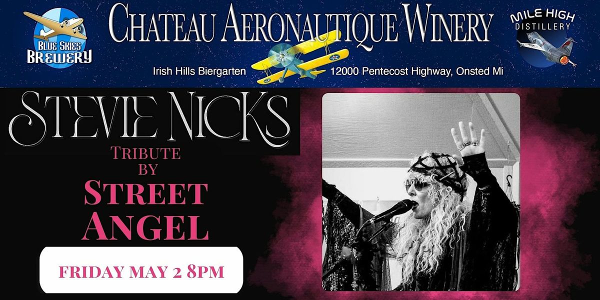 Stevie Nicks Tribute by Street Angel