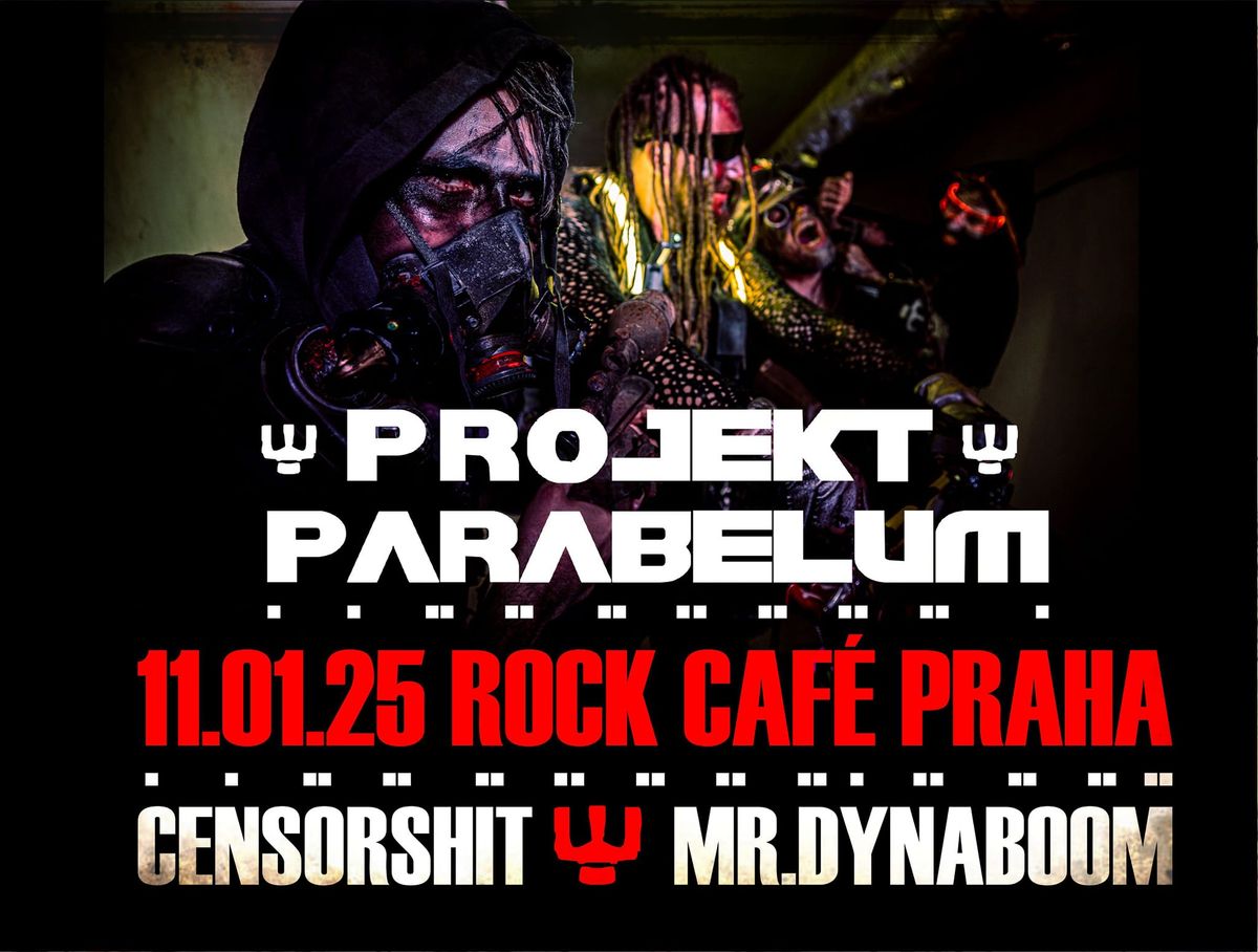 Projekt Parabelum 24th Anniversary Concert