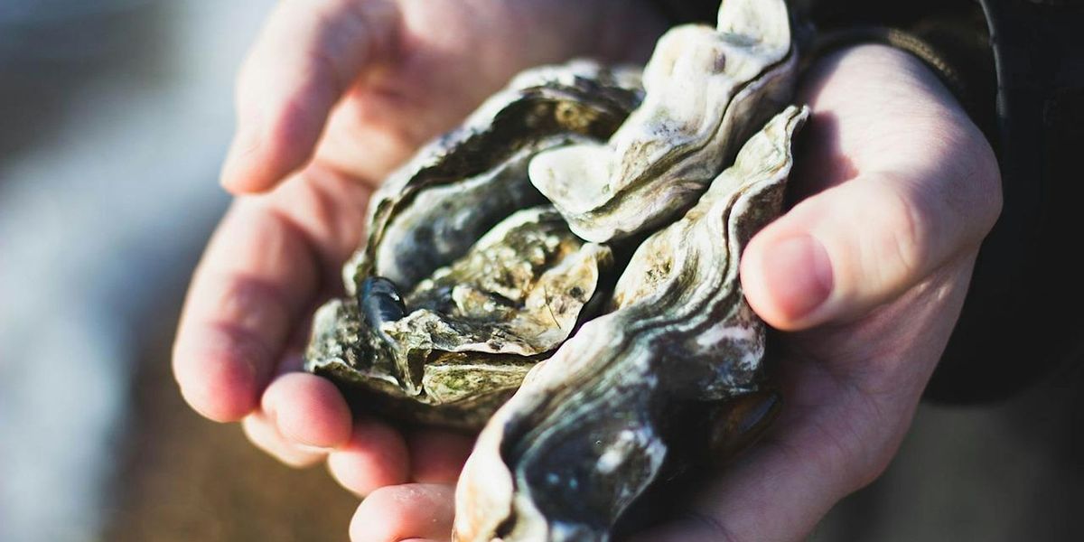 Fredericksburg Oyster Festival