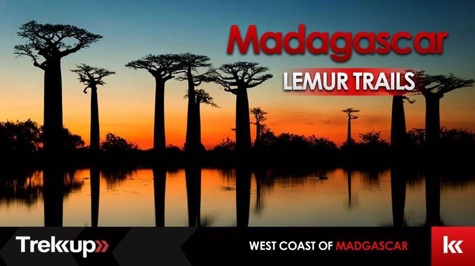 Lemur Trails | Eid Journey Across Madagascar