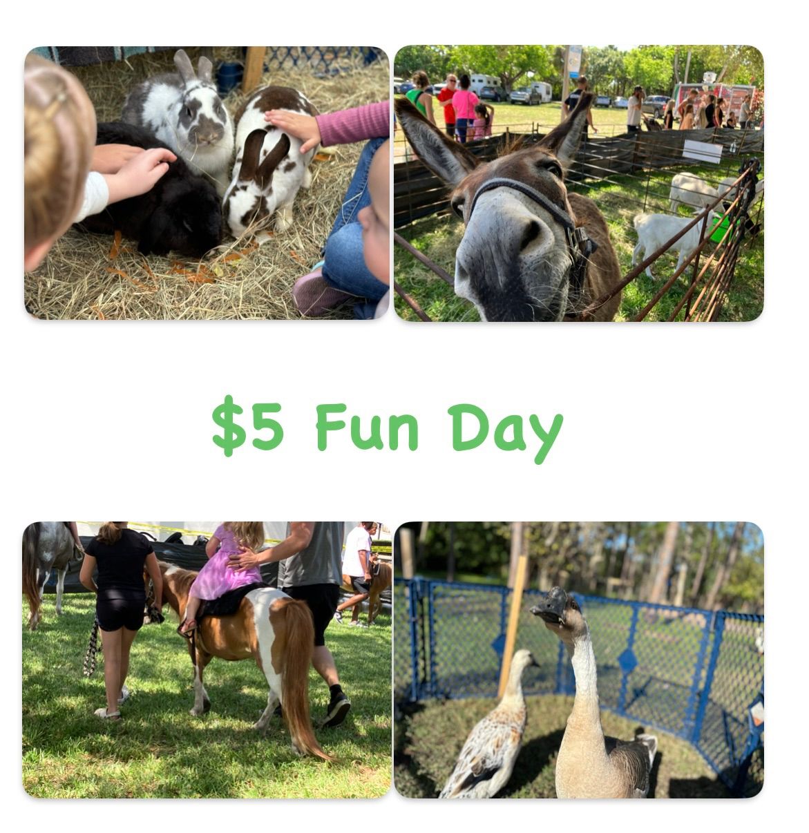 $5 Fun Day