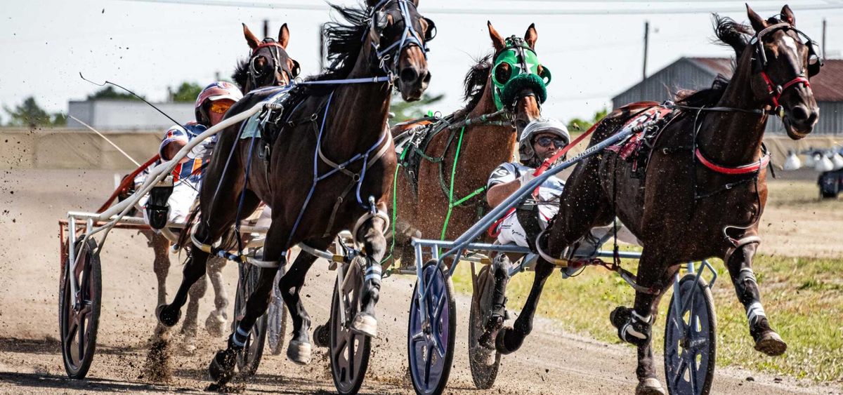 Fair Grounds Live Racing