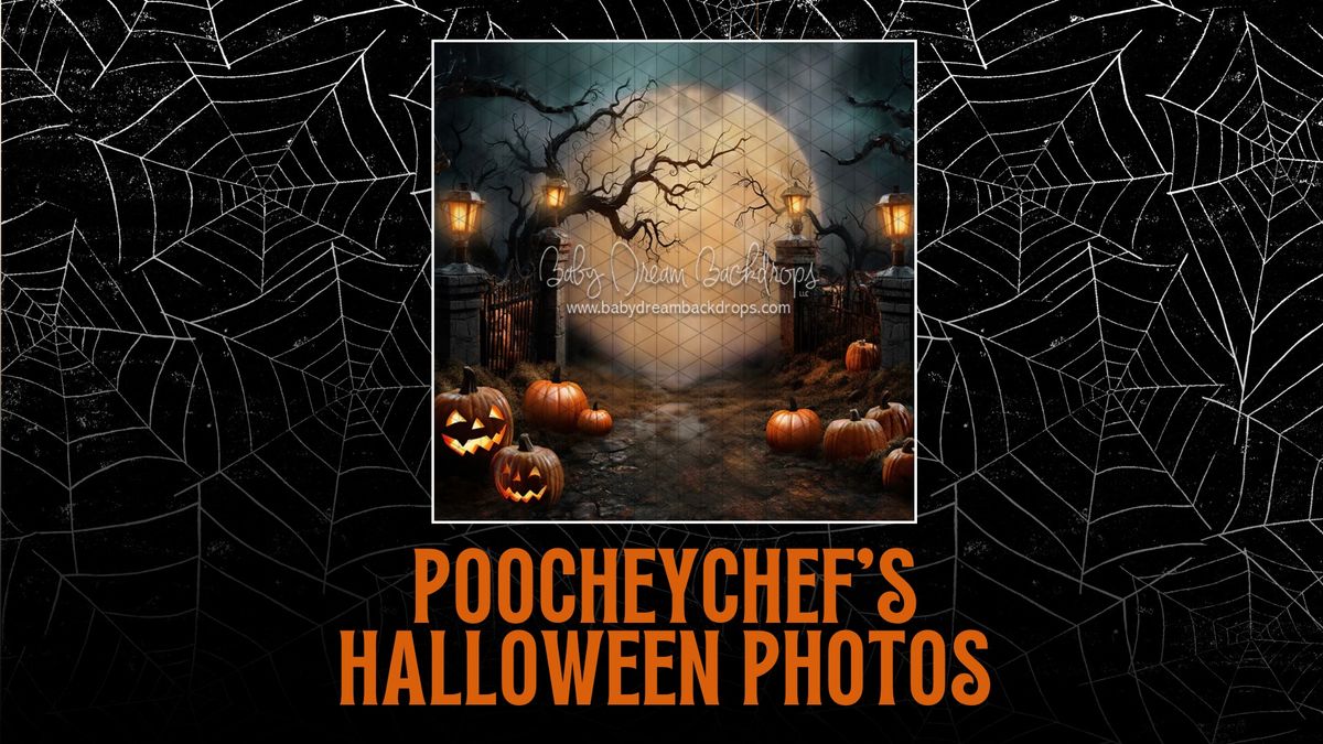 Halloween Pet Photos at Poochey Chef!