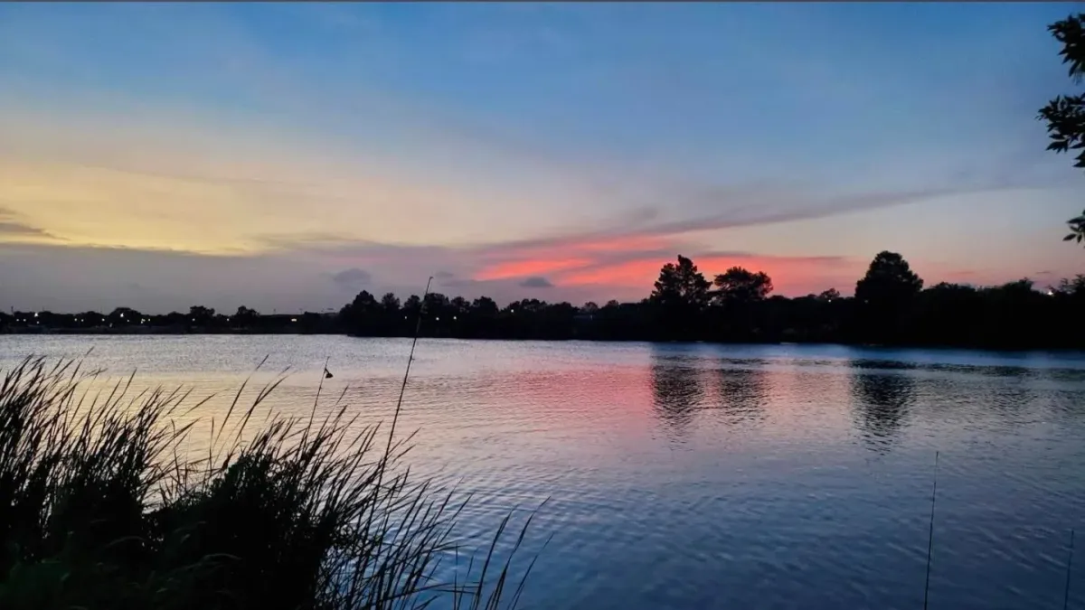 \ud83c\udf05 \ud83d\udeb6\u200d\u2642\ufe0fEvening walk at Woodlawn Lake Park\ud83e\udd86\ud83c\udf33