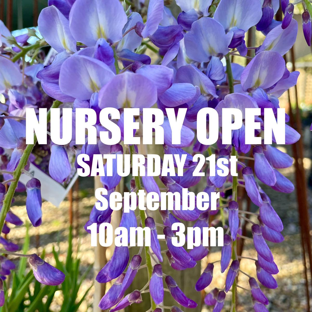 One-off nursery opening 